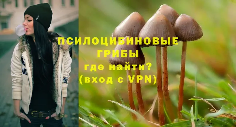 Галлюциногенные грибы MAGIC MUSHROOMS  Тырныауз 